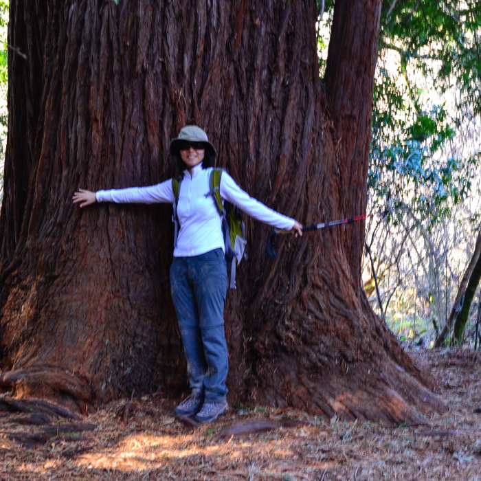 Near Redwood Creek Trail