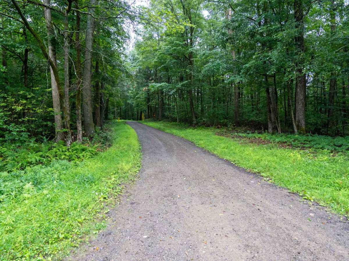 Salamanca Forest Road trail photo