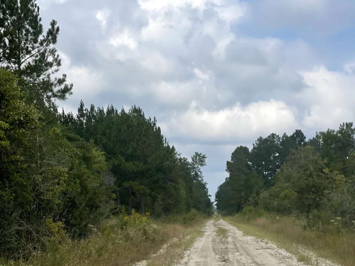 Patrick Road photo 4