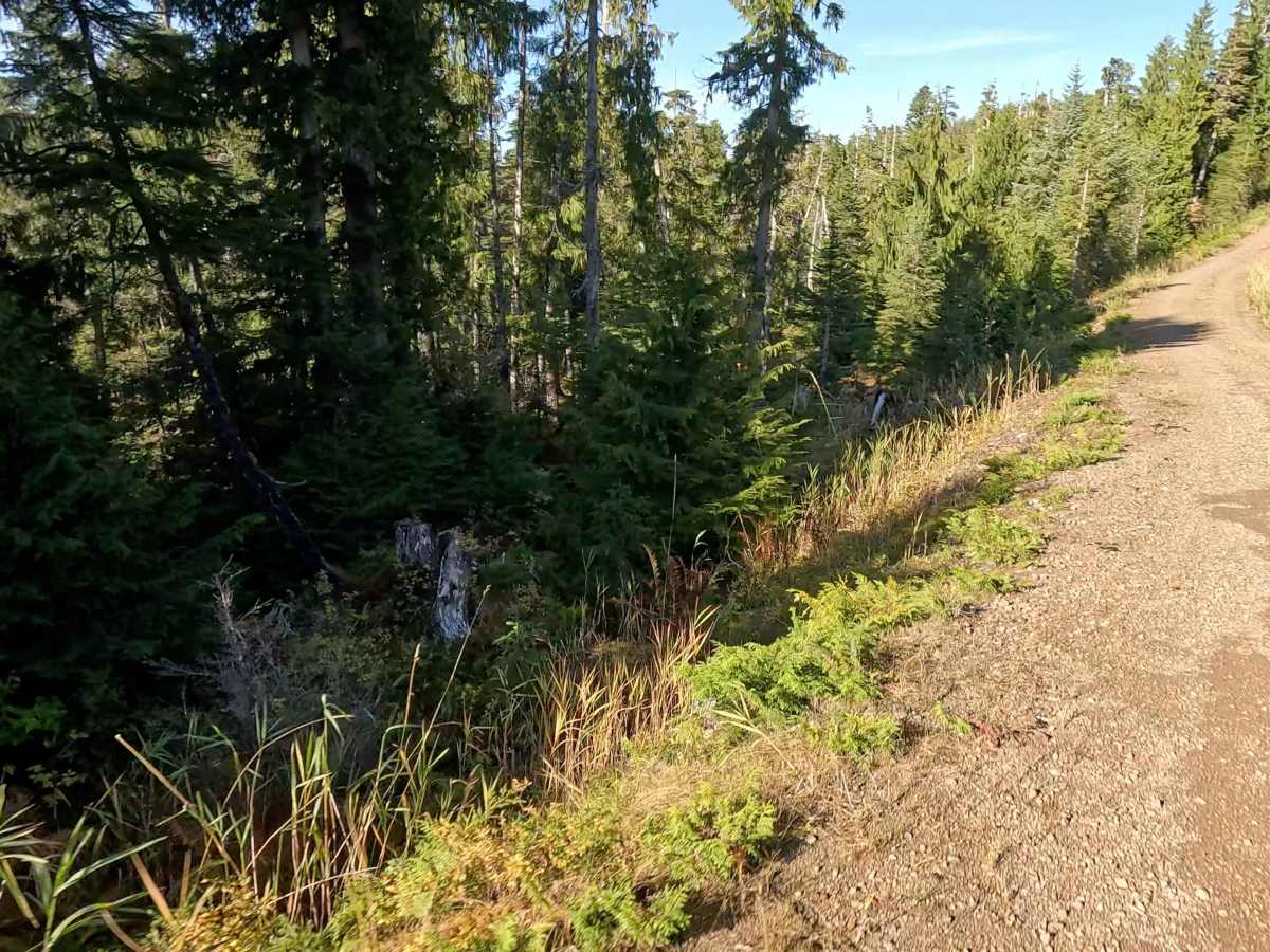 Over Section 6 Road - FS 2030100 photo 4