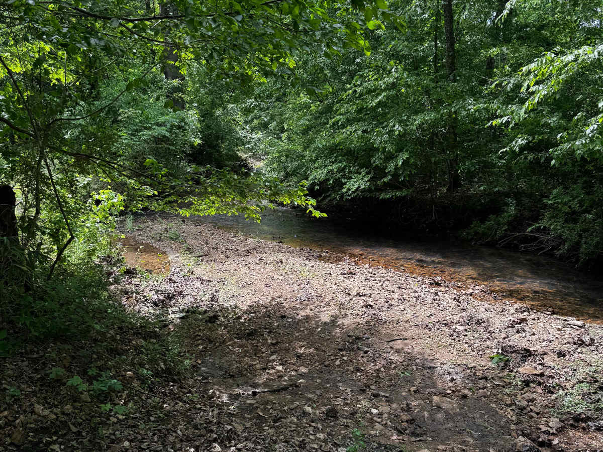 Hillside Adventure  photo 4