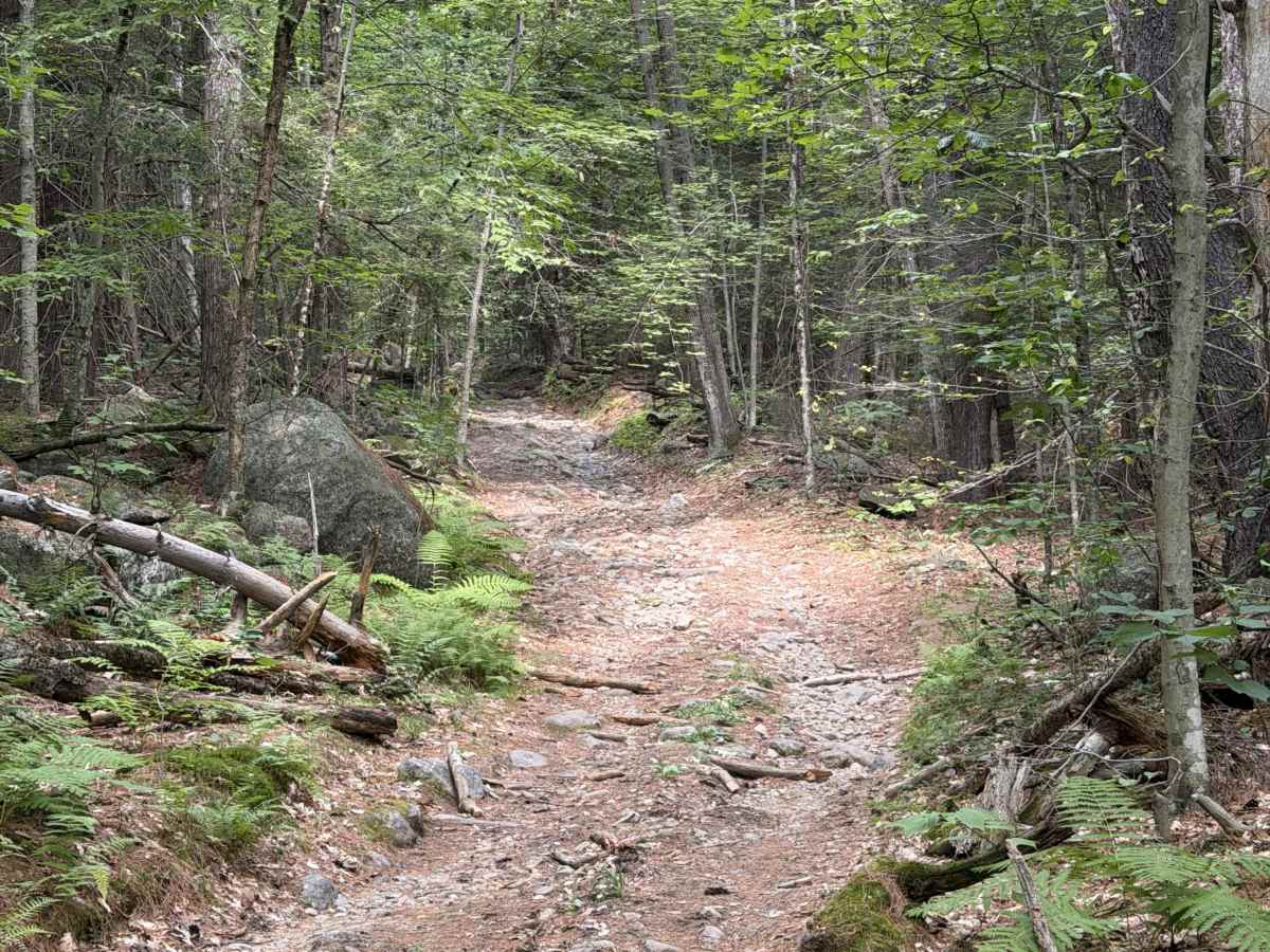 Cunningham Pond Road photo 3