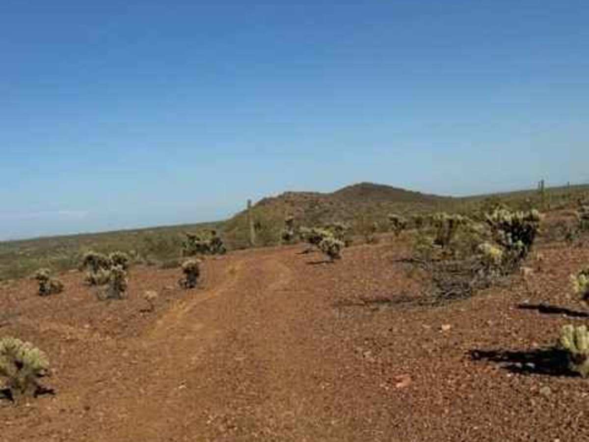 BLM 38069 photo 6