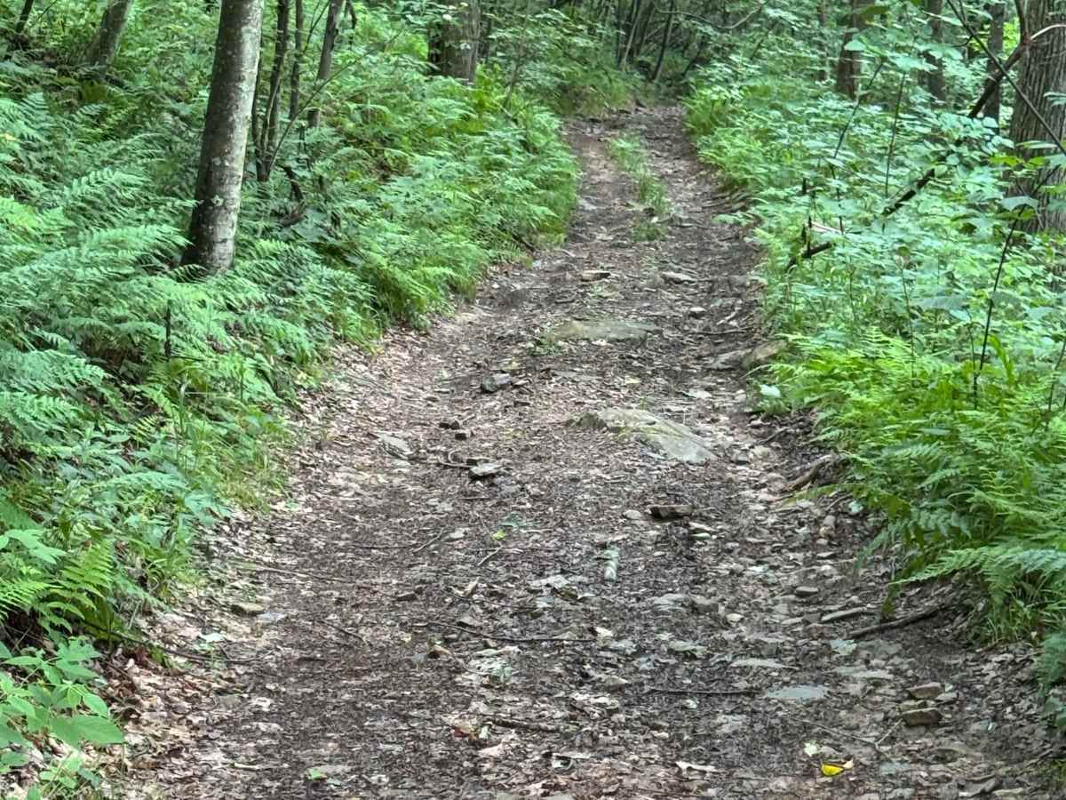 Trail 25 photo 5