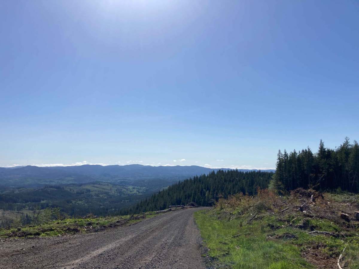 Willapa Hills trail photo