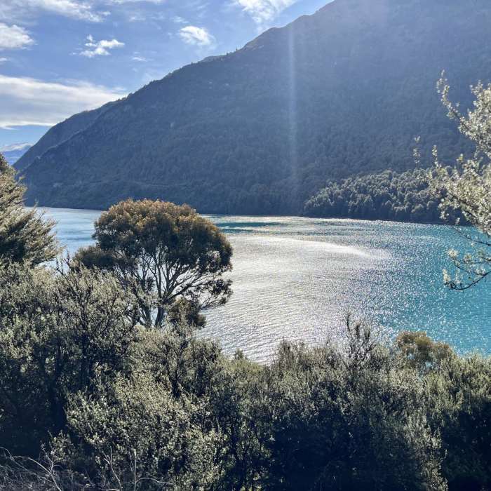 Near Bob's Cove to Picnic Point Track