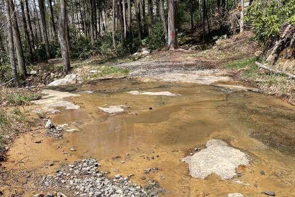 Meadow/Gauley Access Trail