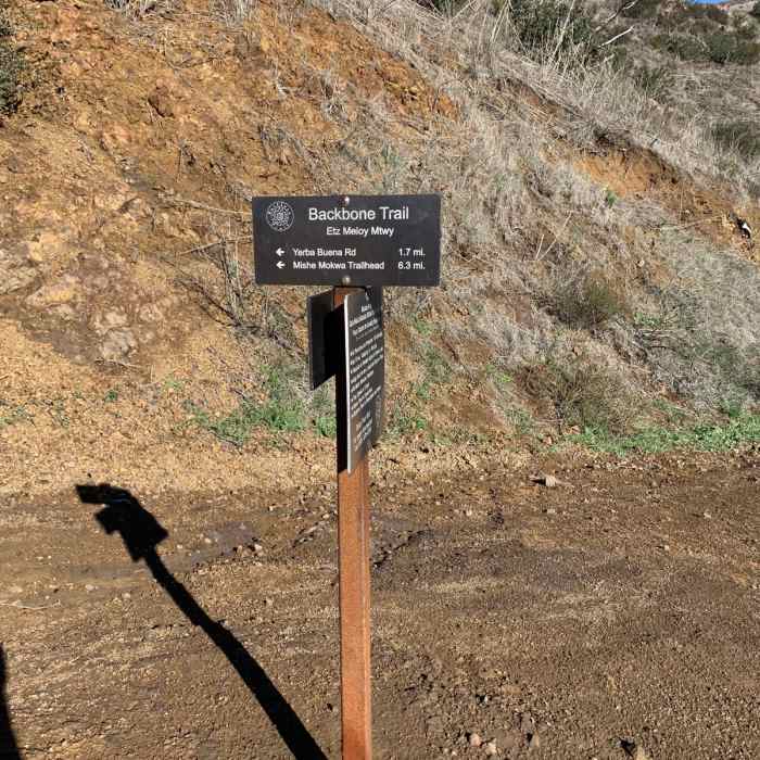 Near Backbone Trail: Kanan Dume Road to Mishe Mokwa