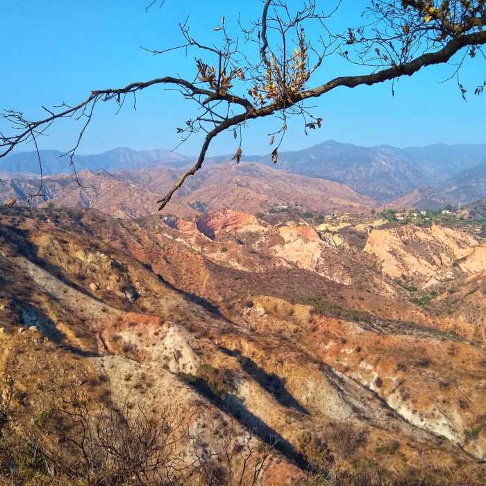 Near Mustard Road