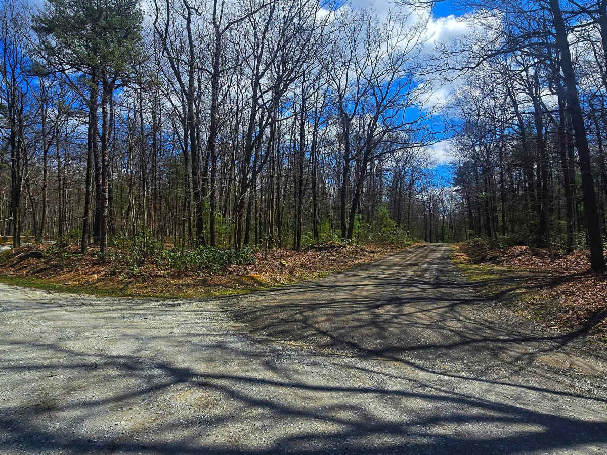 Three Springs Road photo 6