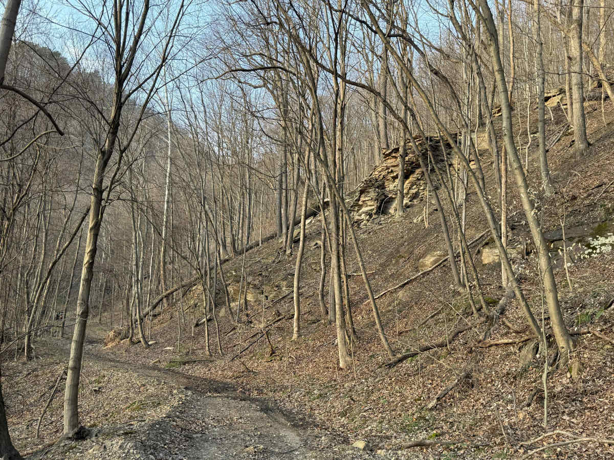 Q10 trail photo