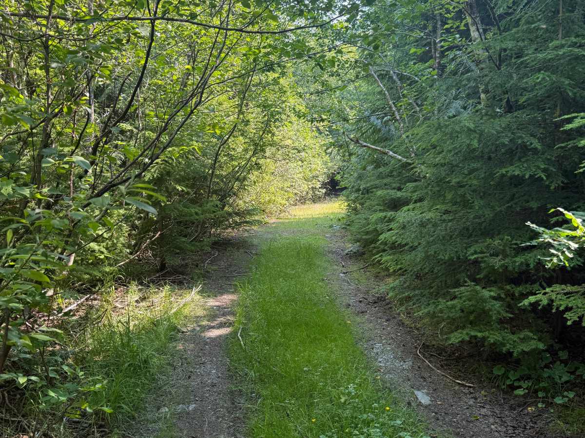 Iron Ore photo 4