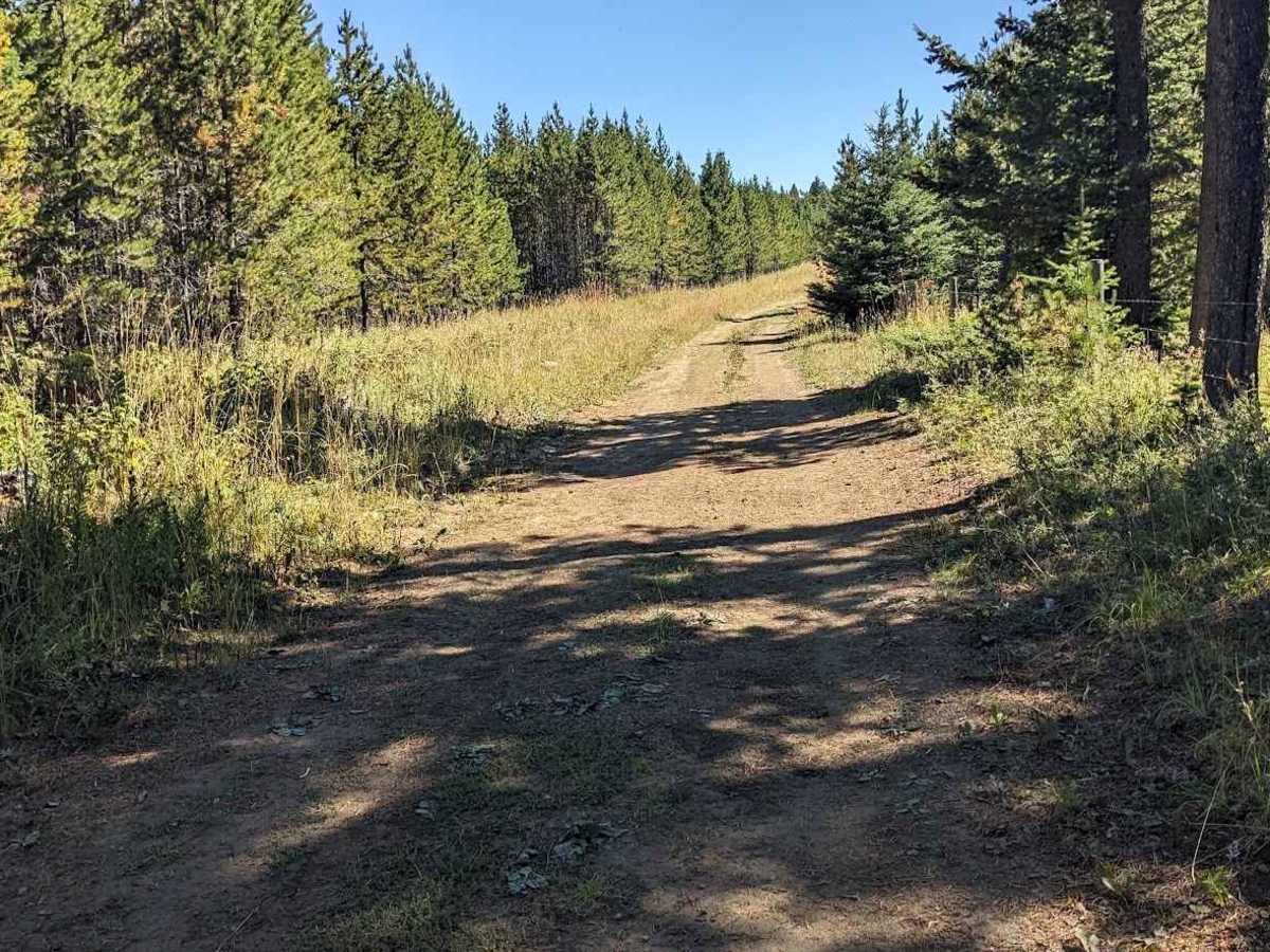 Porcupine Hills Trail  32 photo 4