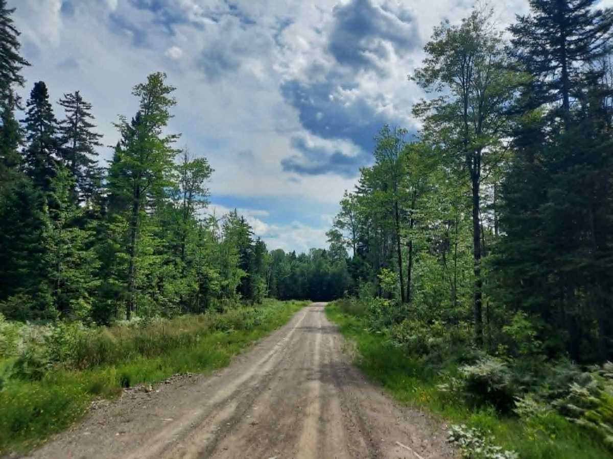 SCOPAN Slip Road photo 4