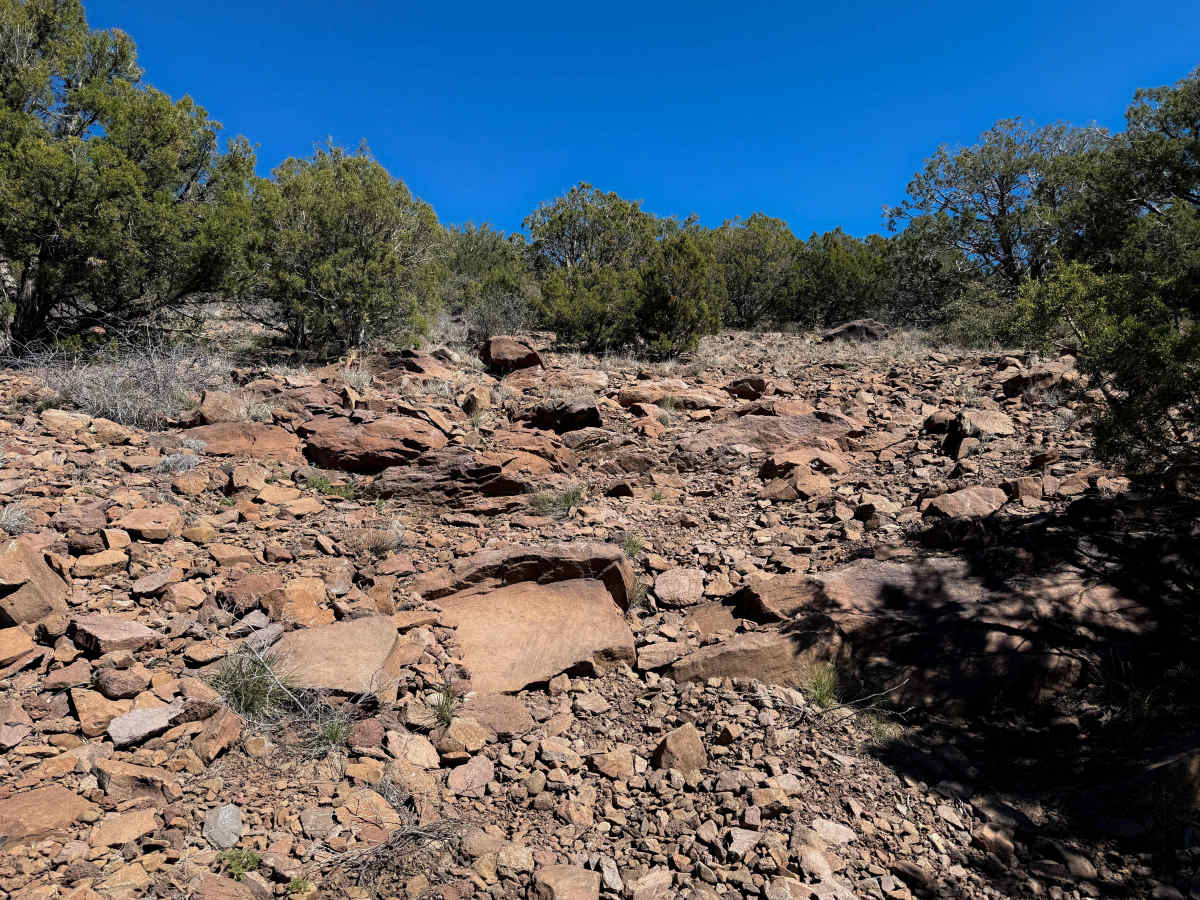 Coop Tank #667   trail photo