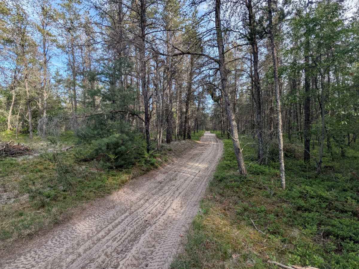 Little Canyon Creek Trail photo 3
