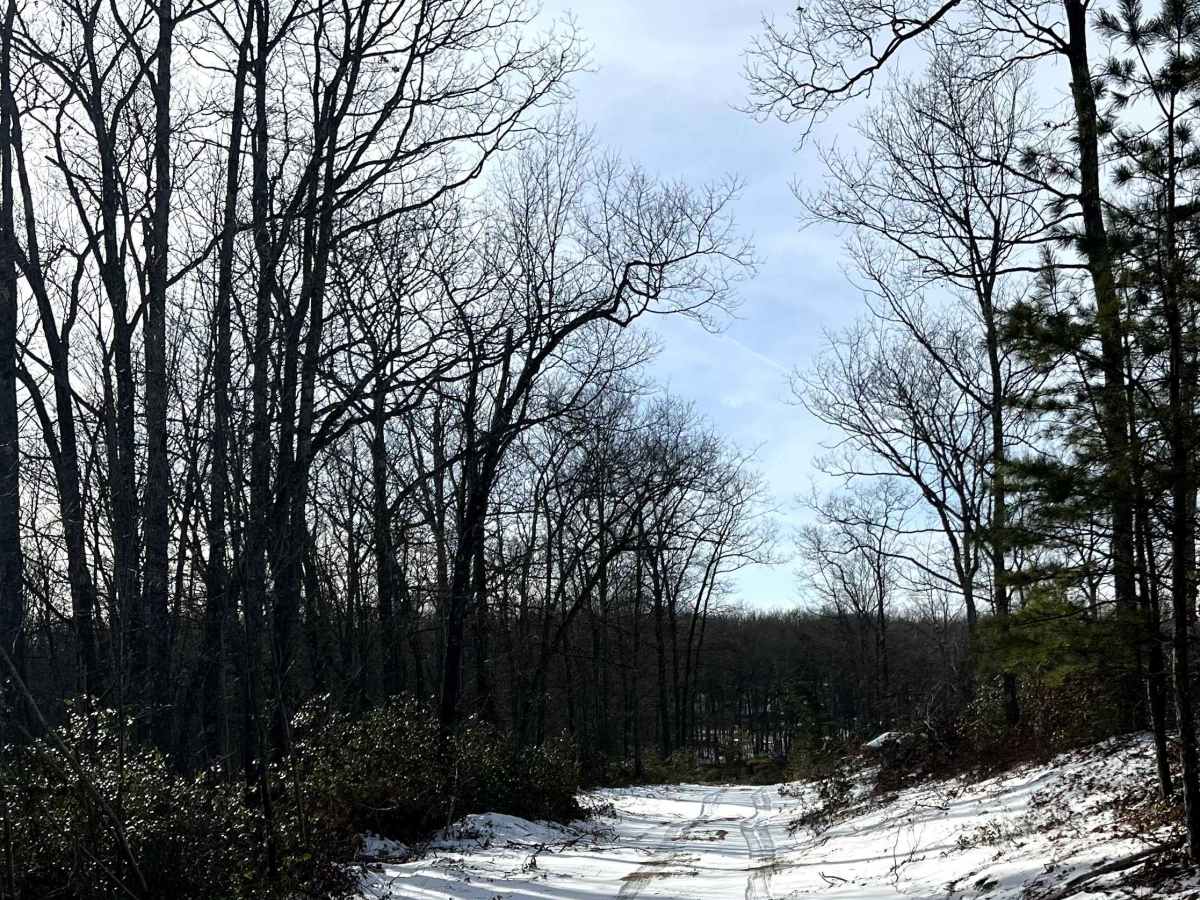 Coffer's Vista Trail photo 2