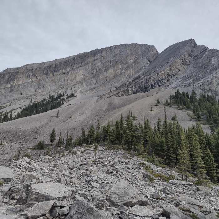 Near Northover Ridge Trail