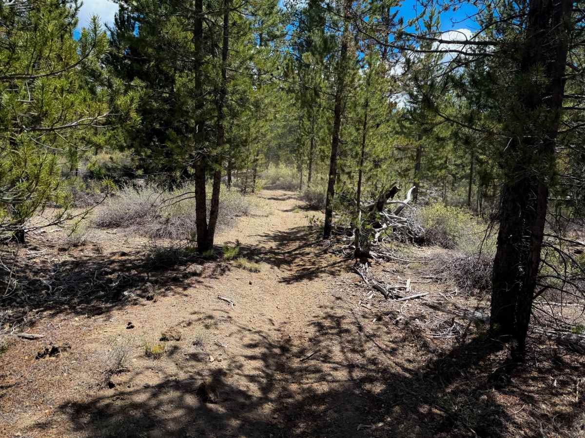 Trail 25  photo 6