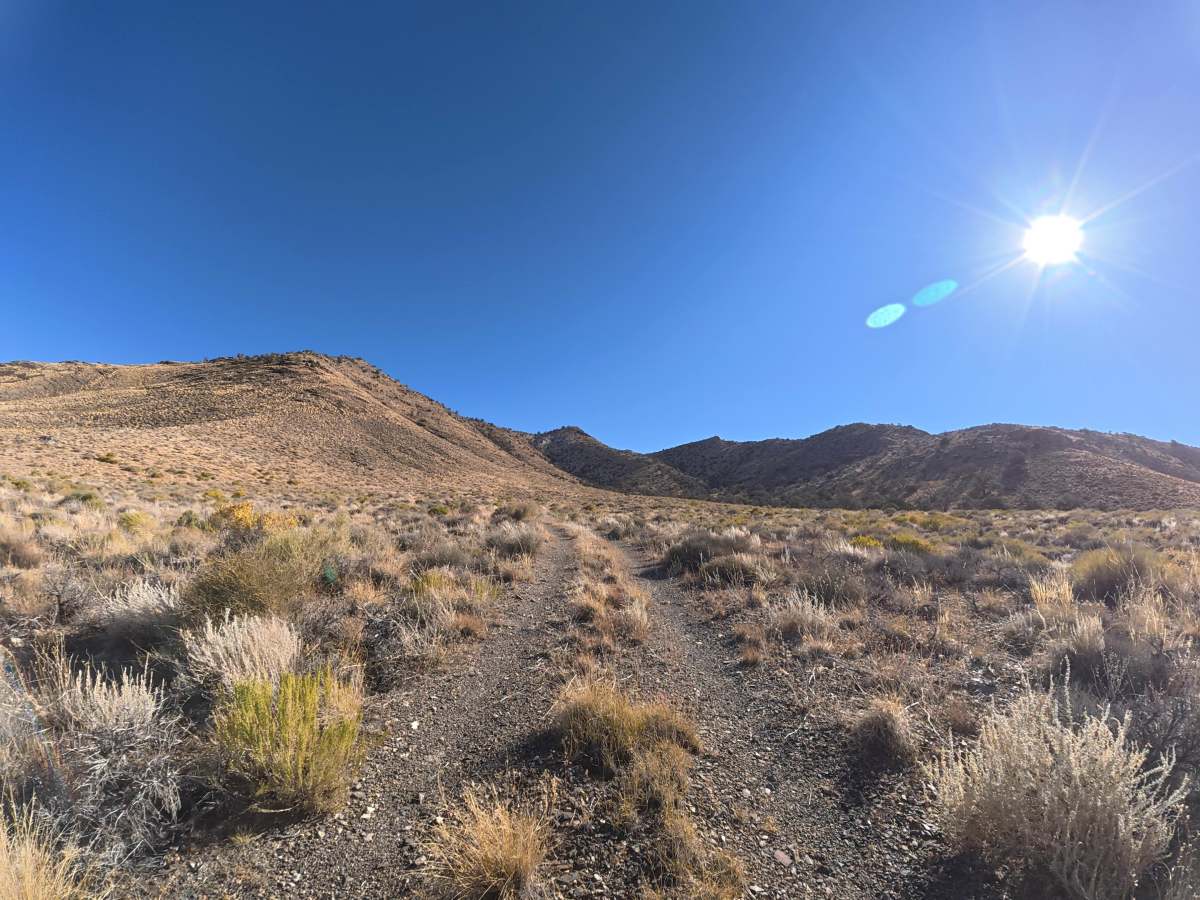 Cowhorn Hill photo 2