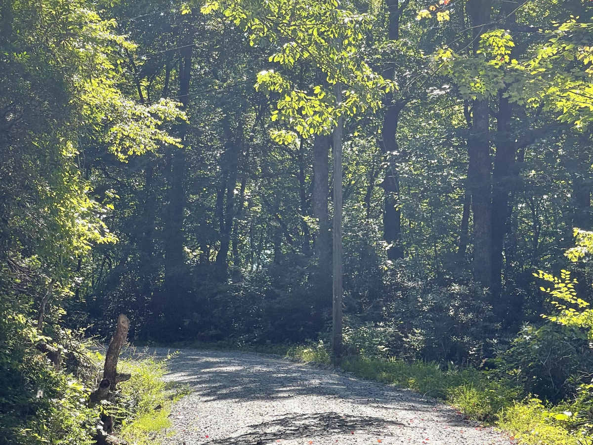 Rackett Branch Road photo 5