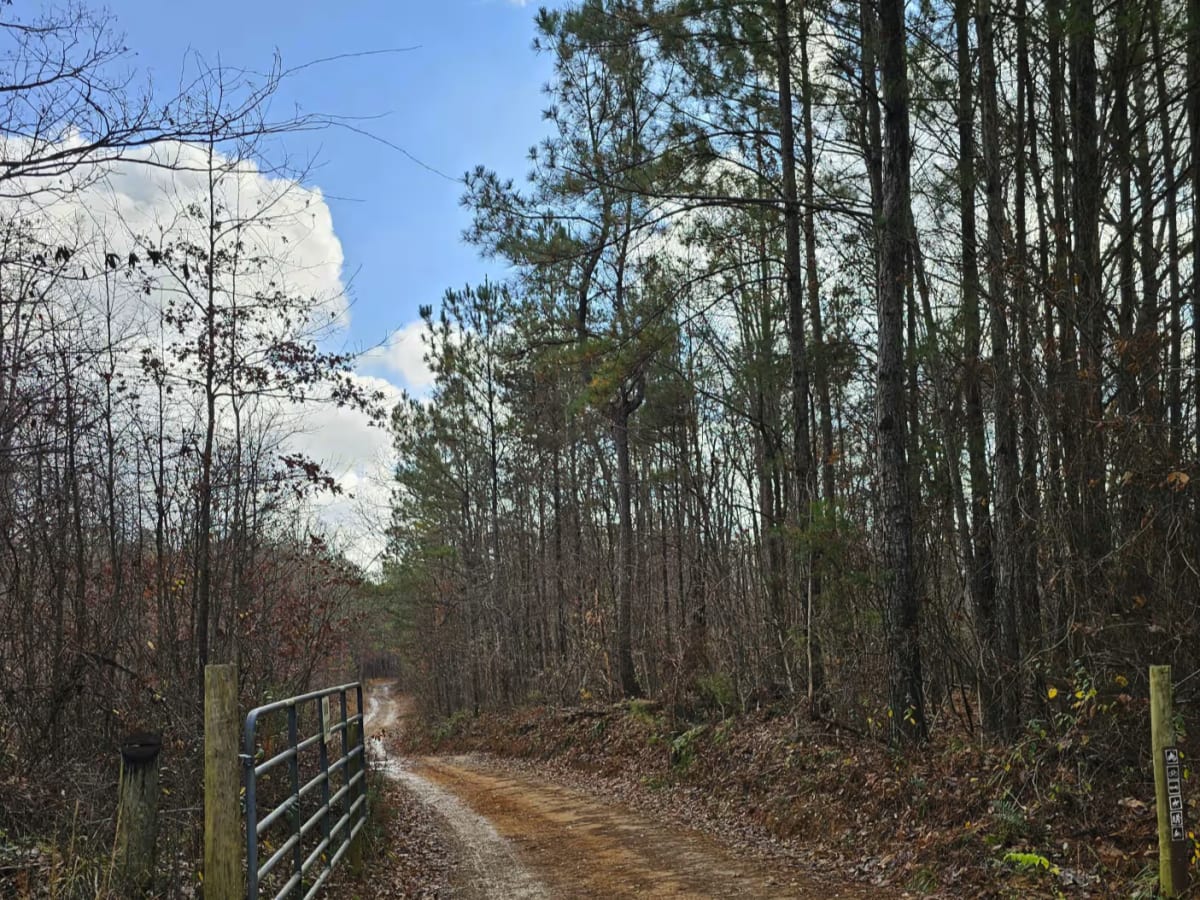 Sulfer Branch Road photo 3
