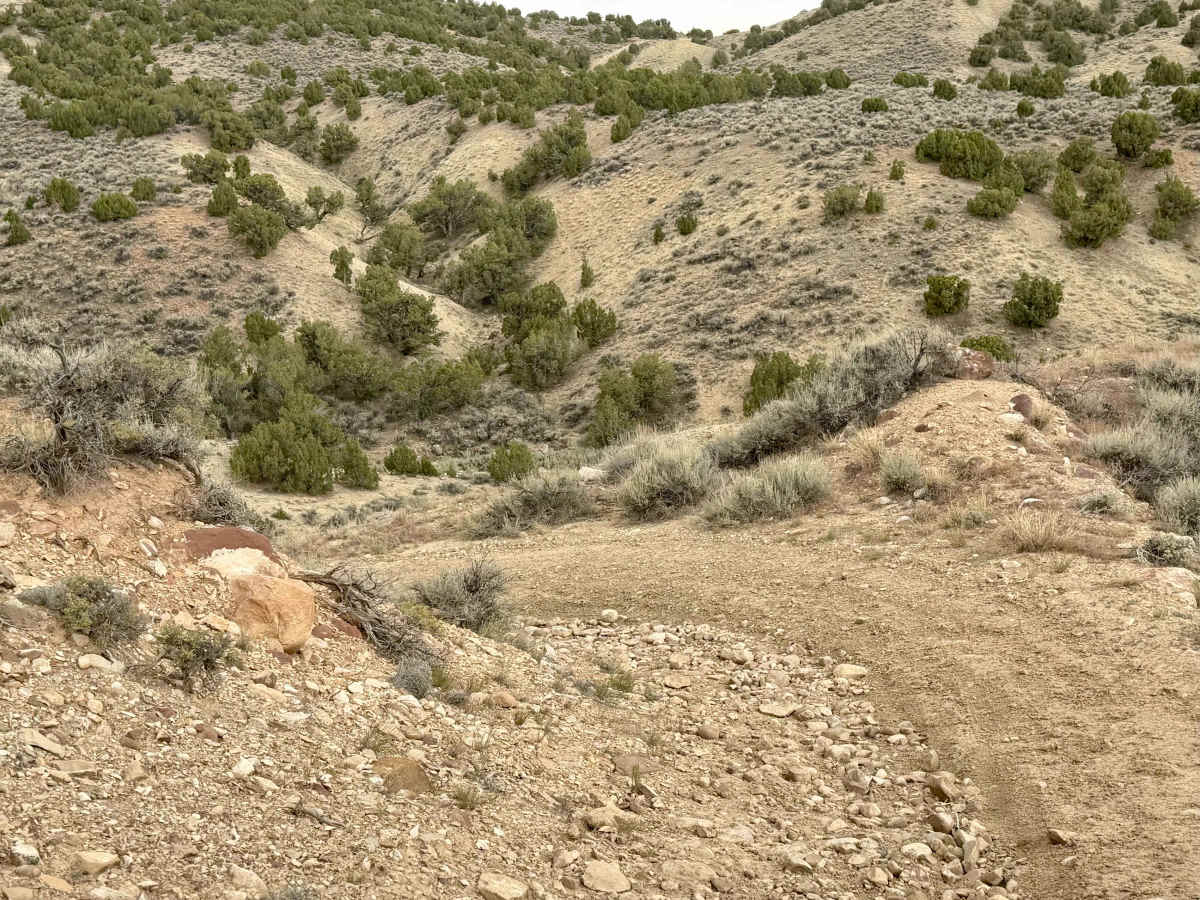 Widow Maker Road photo 3