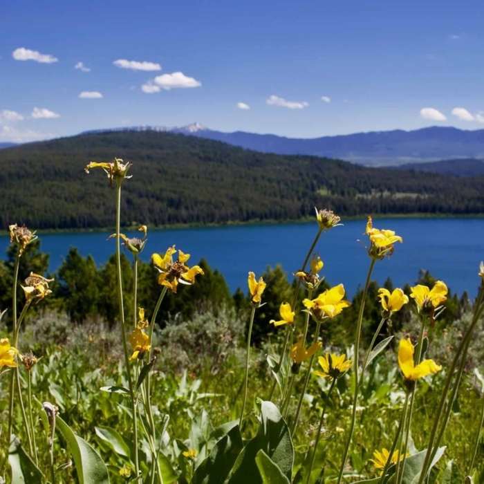 Near Emma Matilda Lake