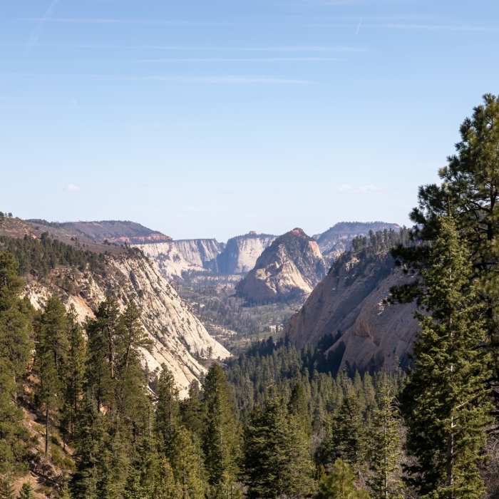 Near Wildcat Canyon Trail
