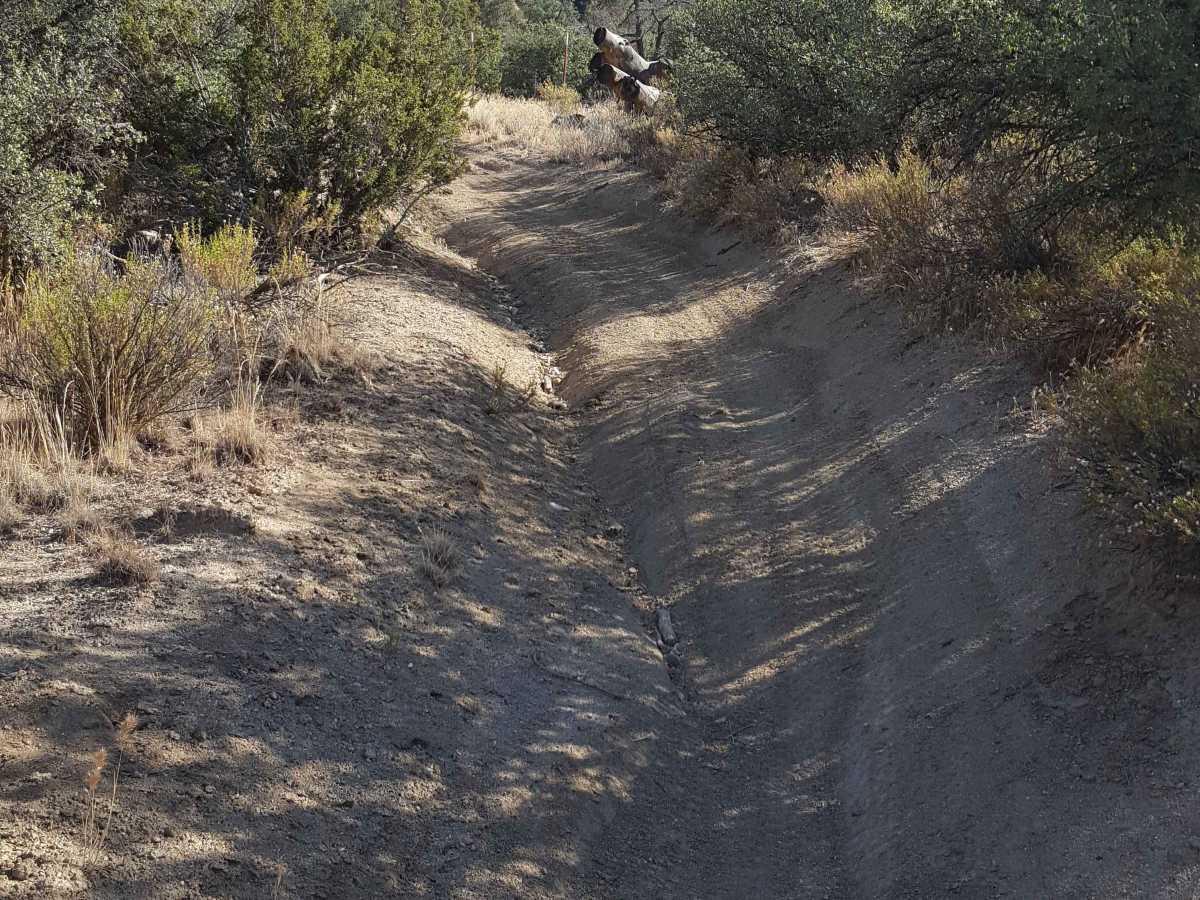 Trail 31 photo 3
