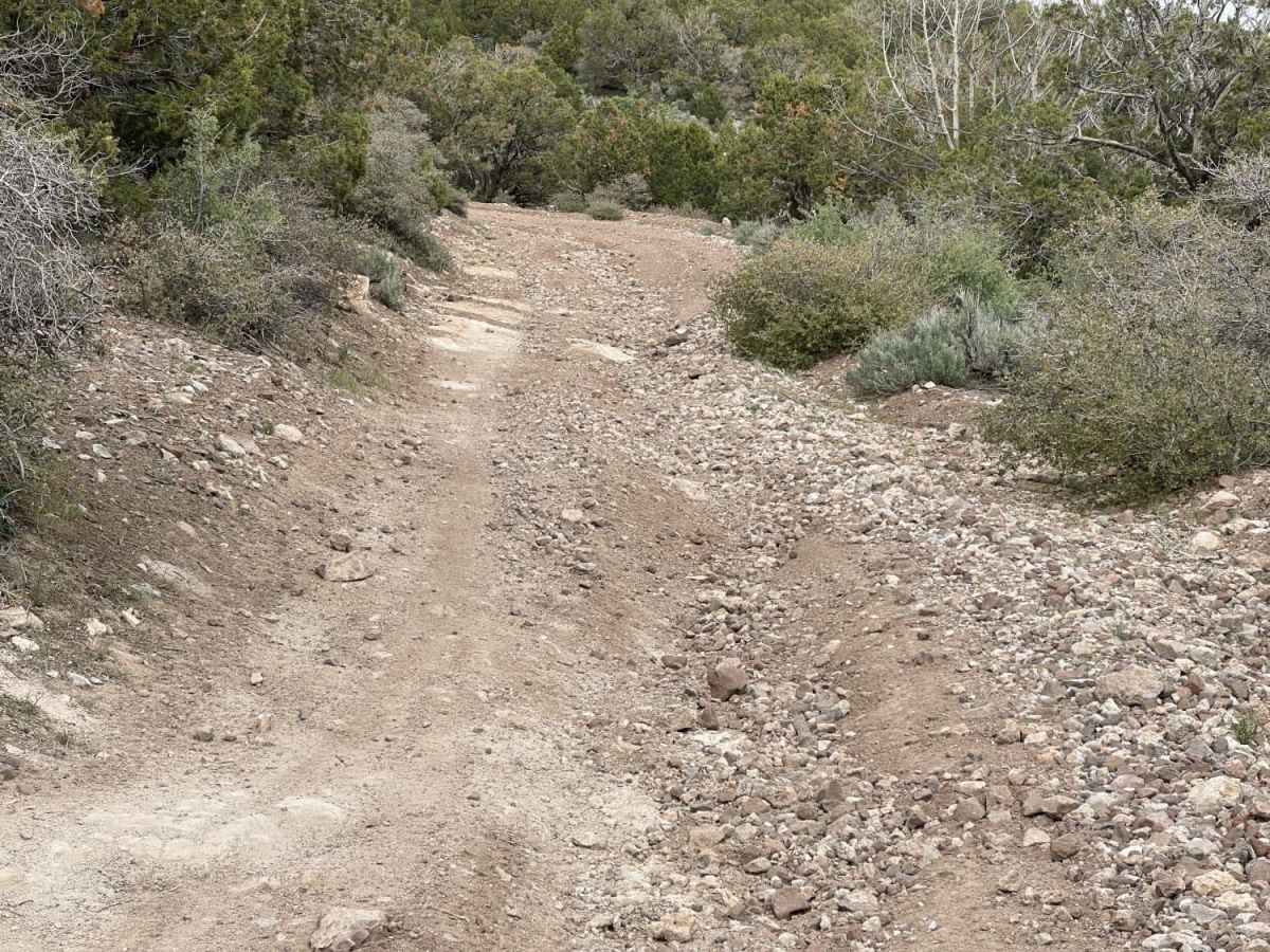 East Fork of Beaver Dam Wash photo 3
