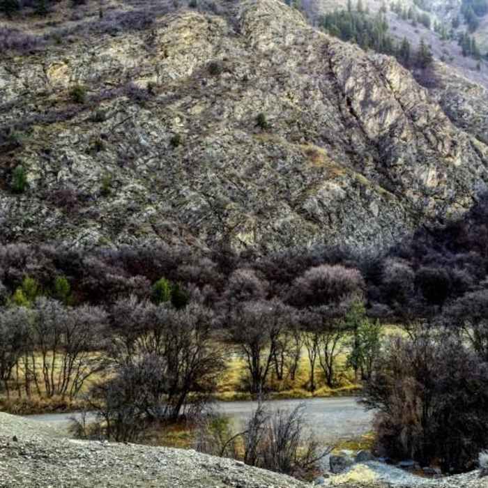 Near Logan Temple Quarry