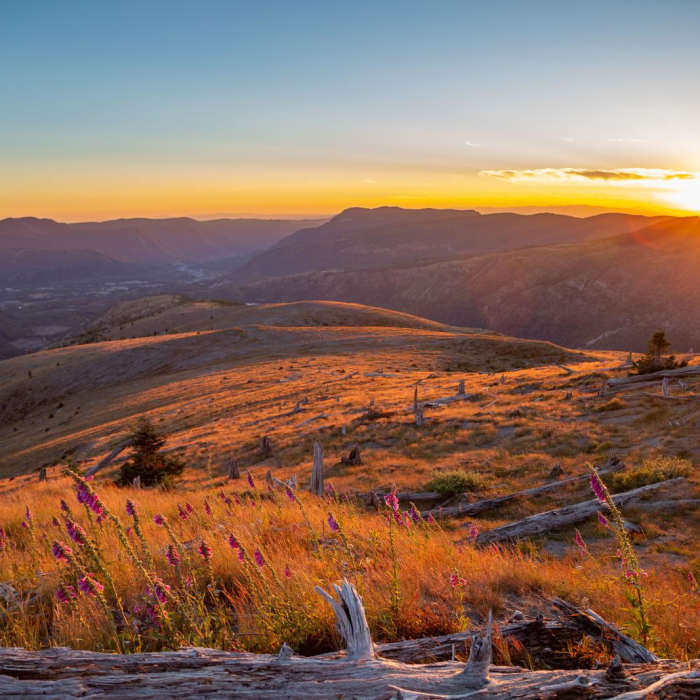 Near Mount Margaret via South Coldwater Trail