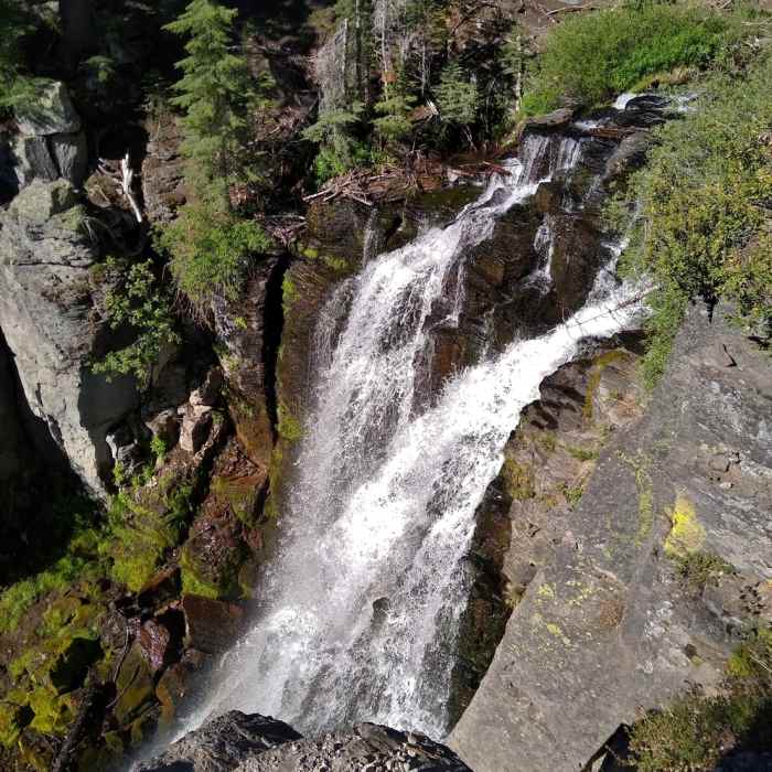 Near Bench Lake Trail