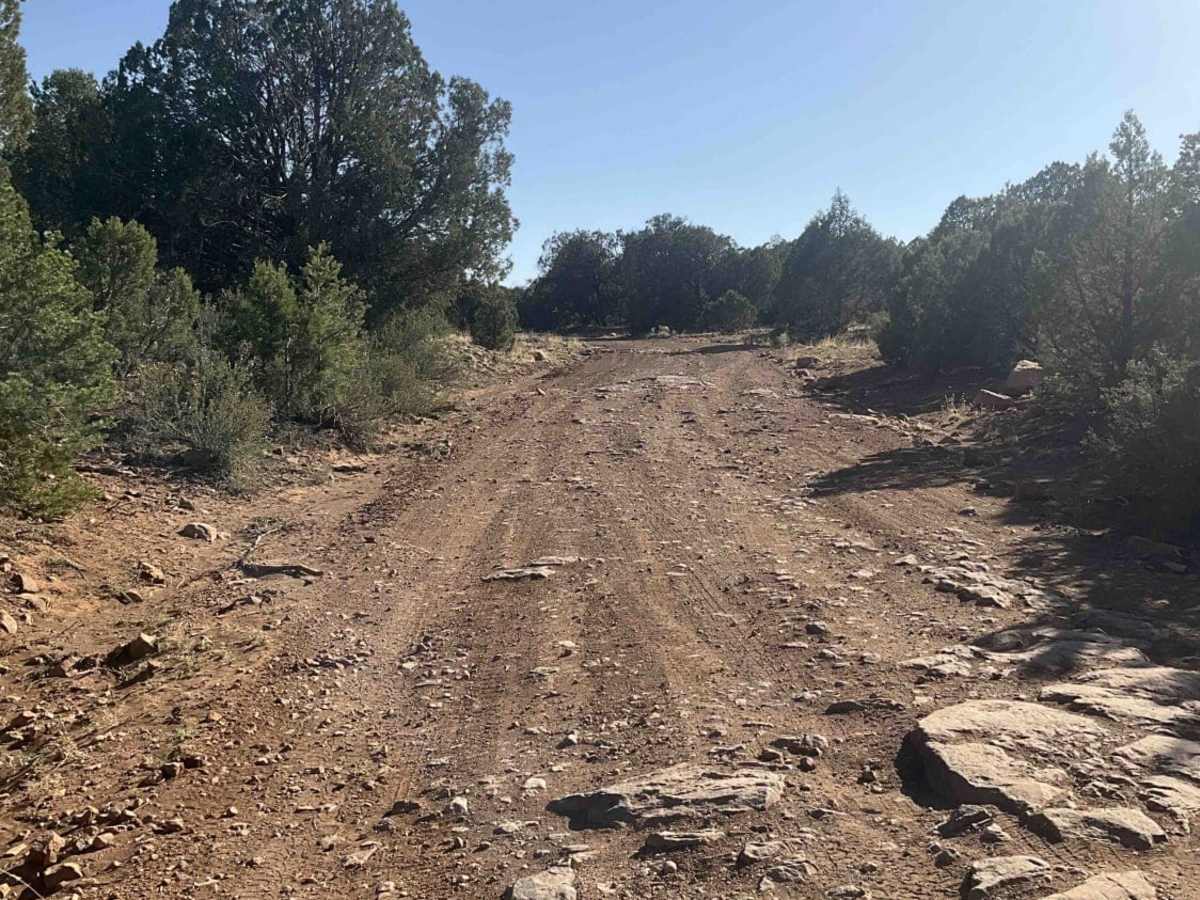Marshall Lake Road photo 2