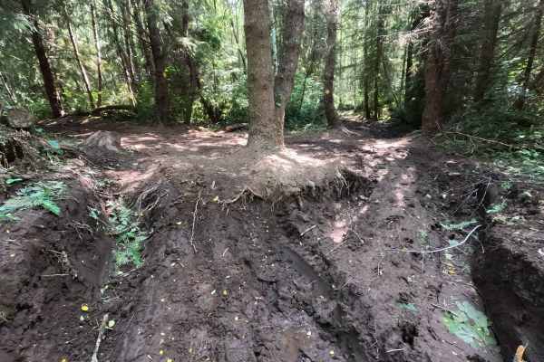 Sasquatch Hills Trail