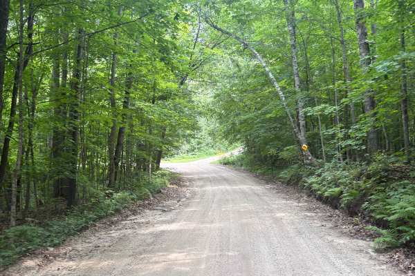 Hannah Ore Forest Road