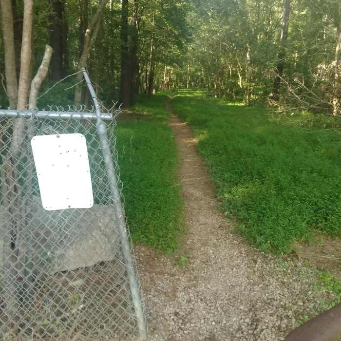 Near Loblolly Trail