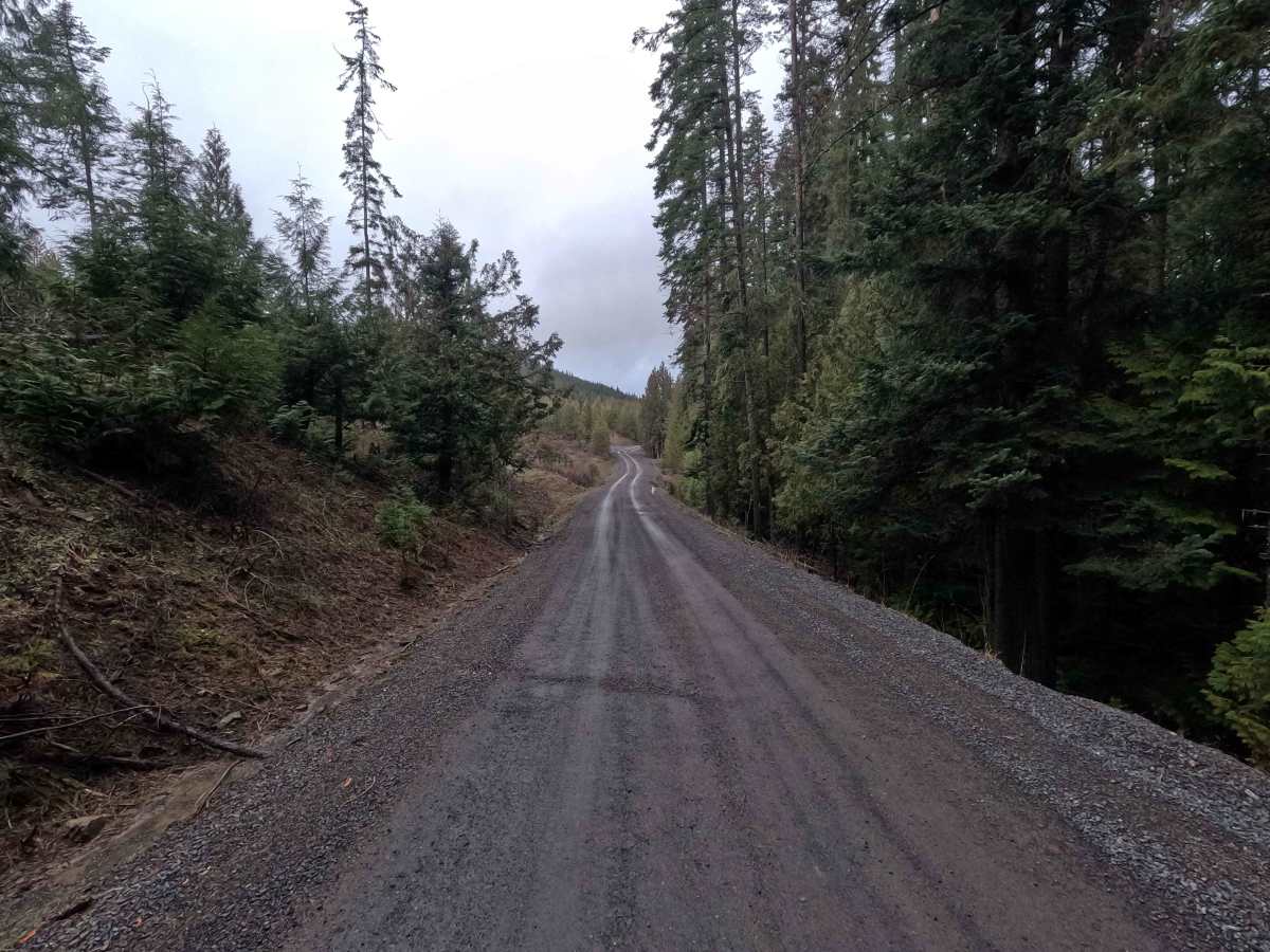 Brush Creek - Trail 289 photo 2