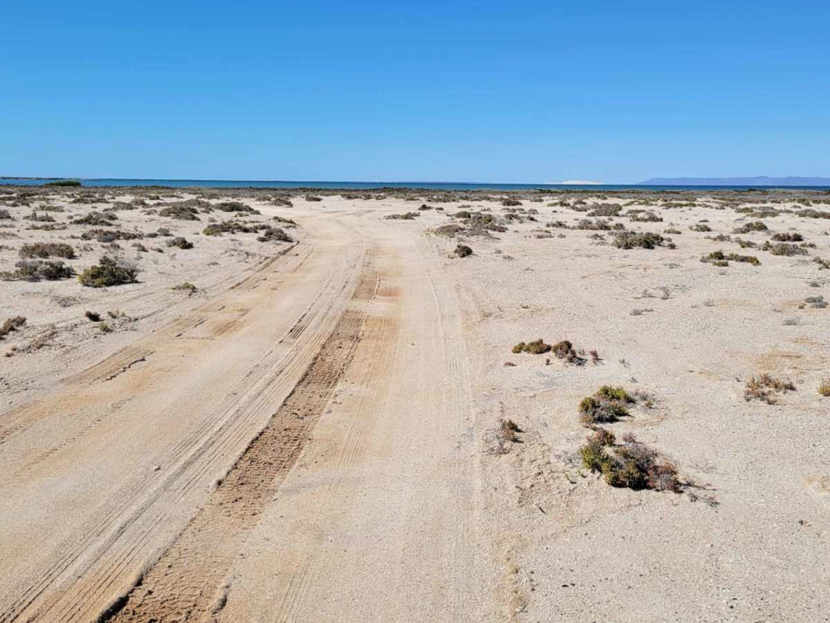 Laguna San Ignacio trail photo