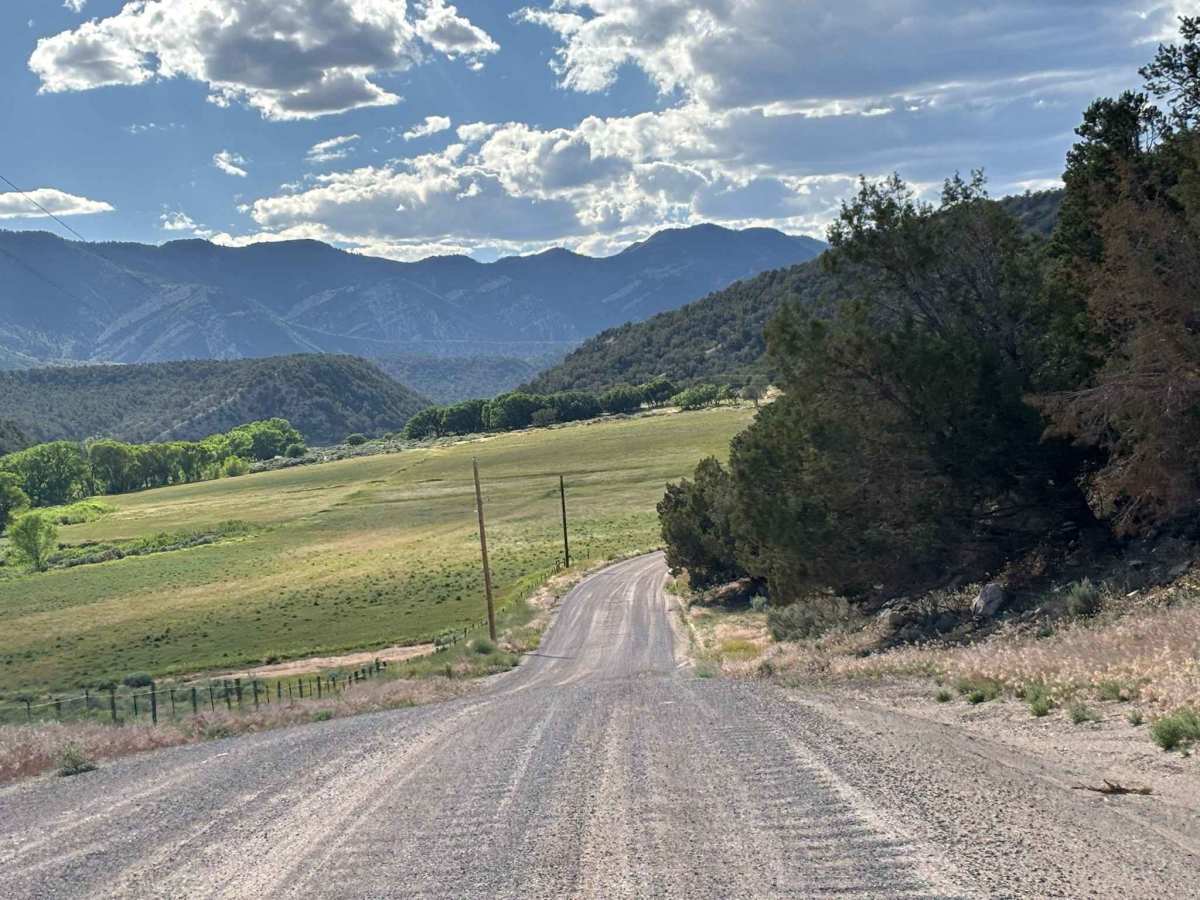 Rifle Creek Road photo 6