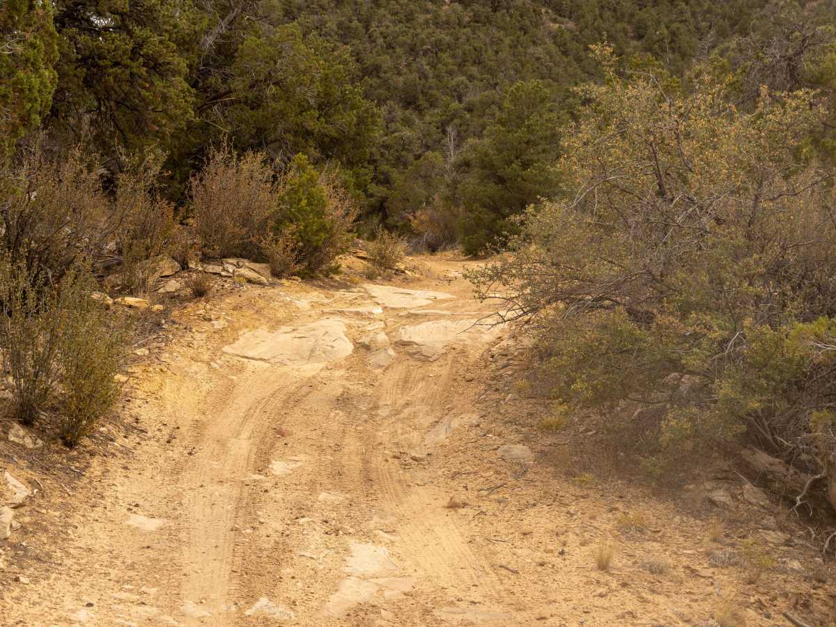 Little Dolores Canyon photo 4