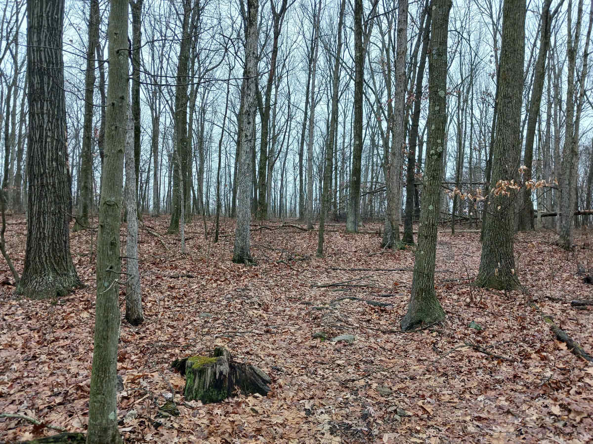 OHV 45 - Rock Run Recreation Area photo 4