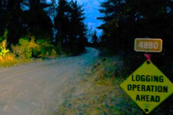 Indian Lake Road - FS 4880