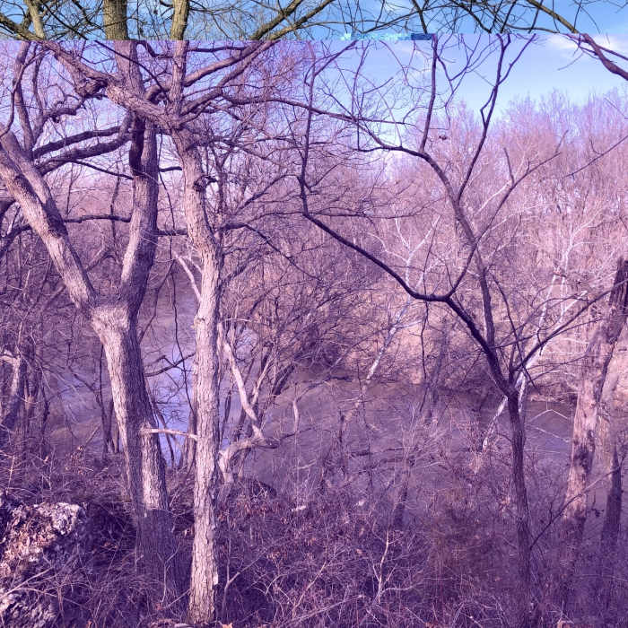 overlooking the Elk River Near Main Line