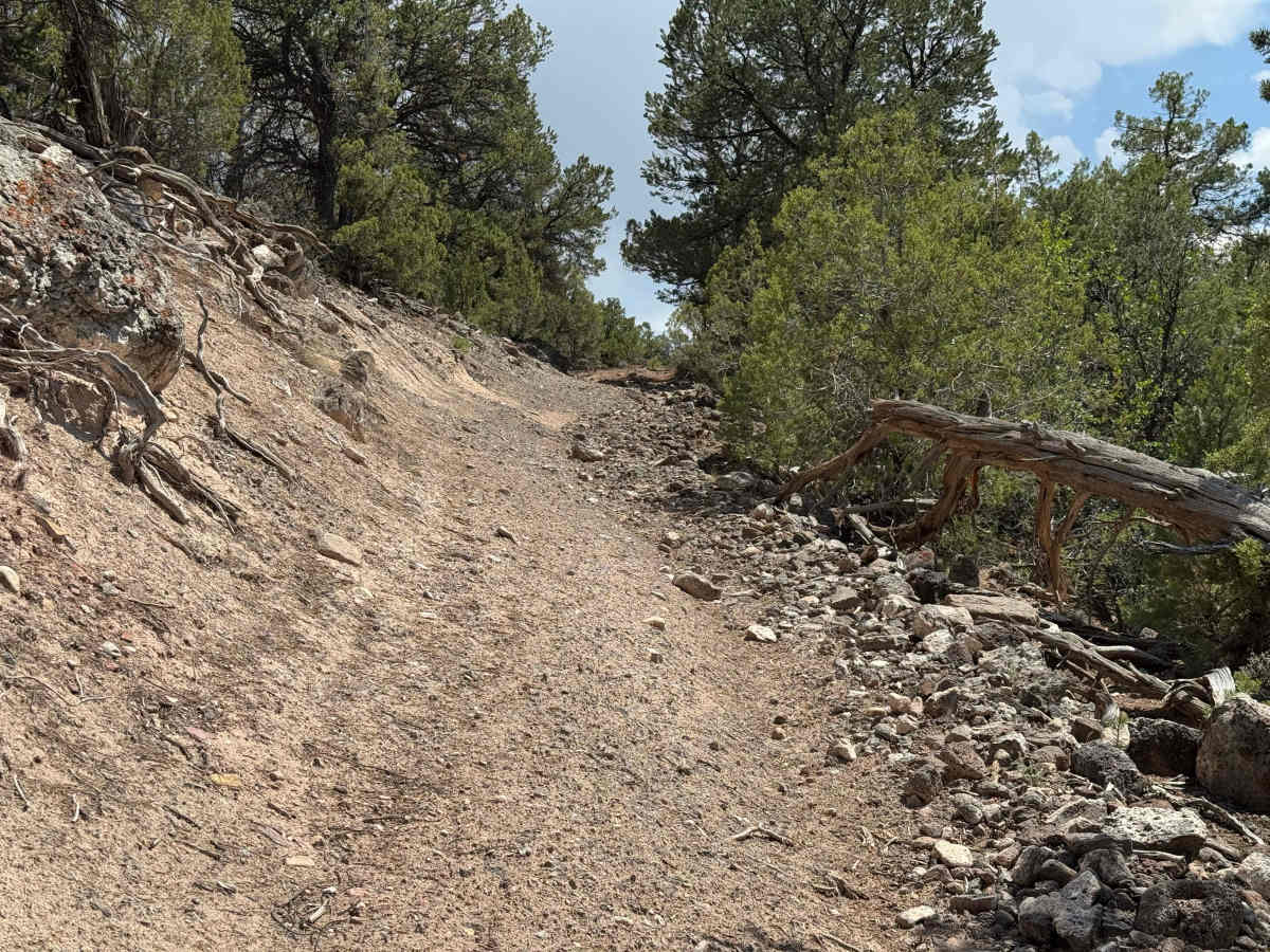 BLM 8457C trail photo
