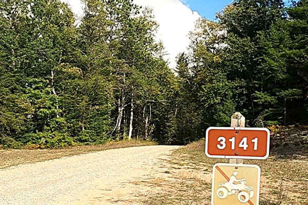 Lone Pine - FS 3141