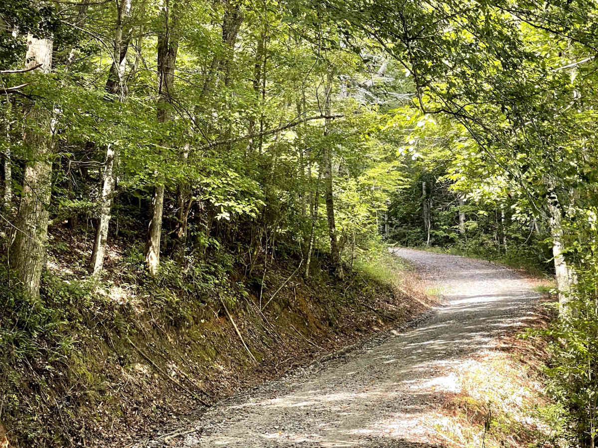 Green Rock  photo 5