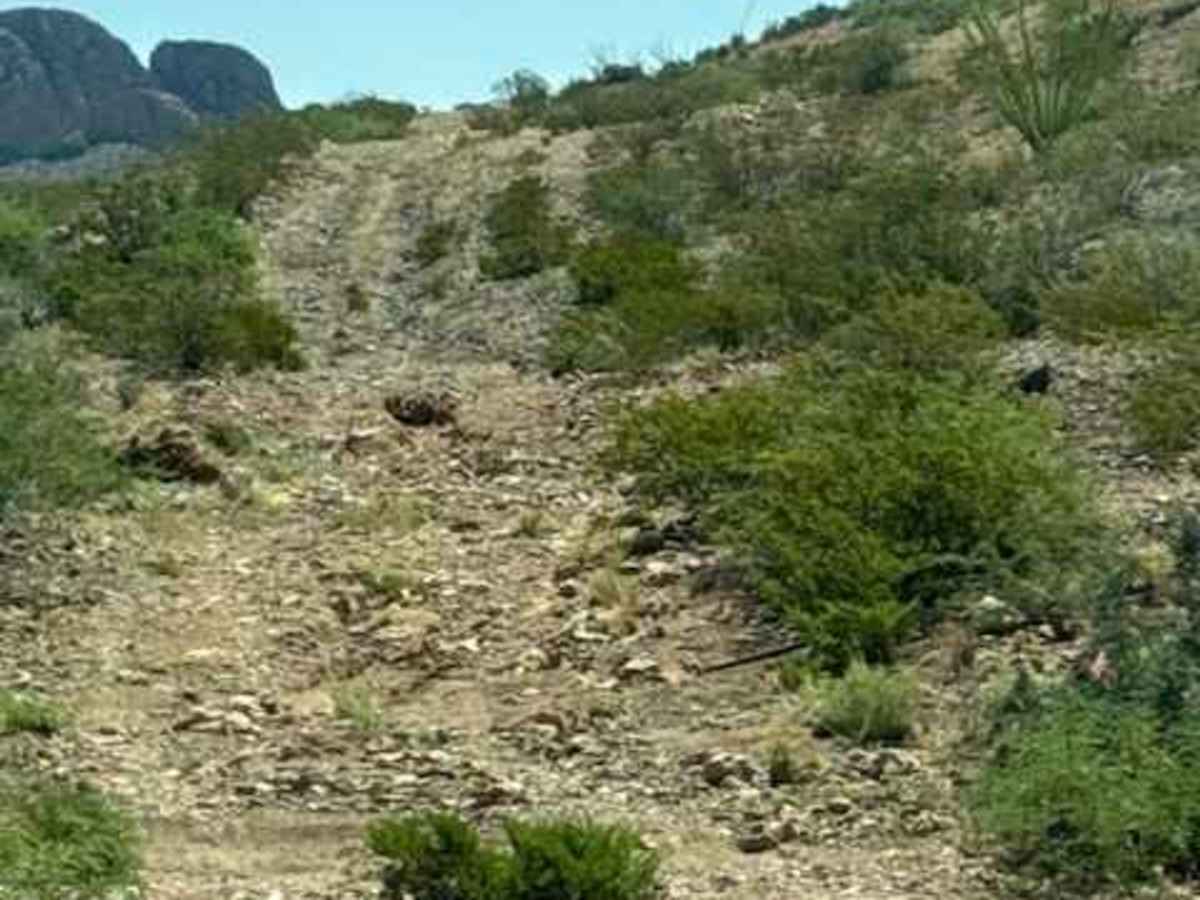 SS1149 photo 6