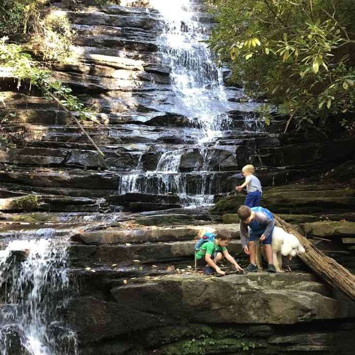 Near Angel Falls Trail #55